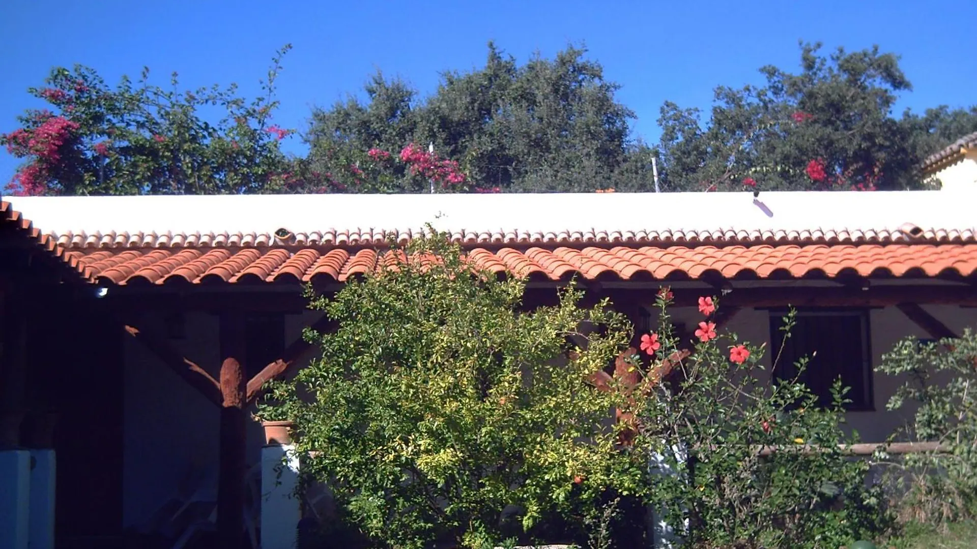 Finca El Abuelo Guest House Barbate Spain